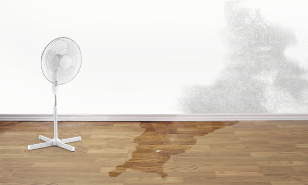 Best 24-hour water damage restoration  in Lodi, WI