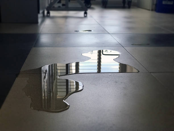 Best Flood restoration services  in Lodi, WI