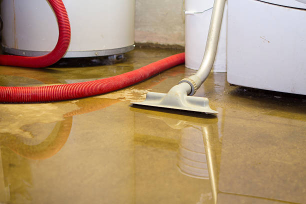 Best Commercial water damage restoration  in Lodi, WI