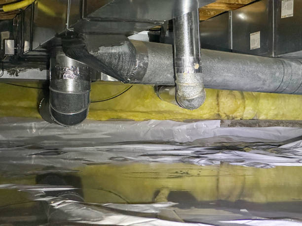Best Mold removal after water damage  in Lodi, WI