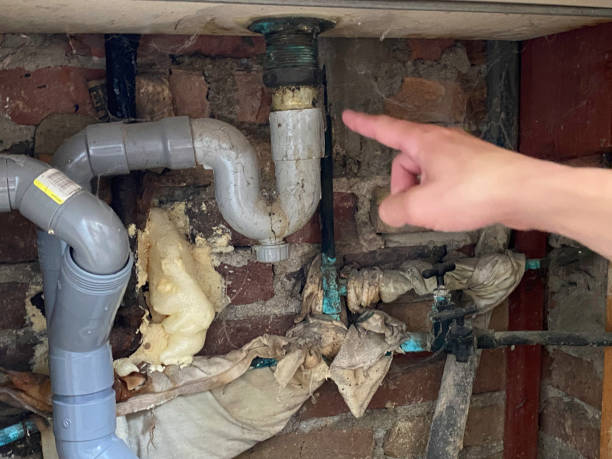 Best Professional water damage repair  in Lodi, WI