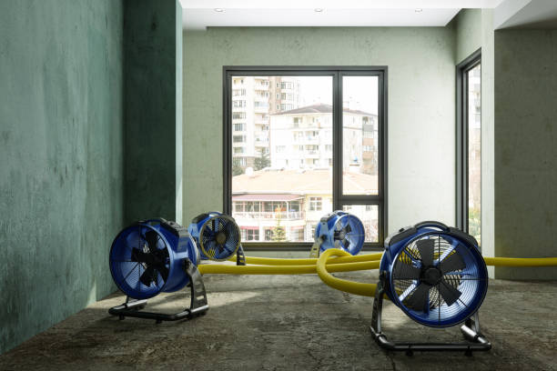 Best 24/7 water damage repair  in Lodi, WI