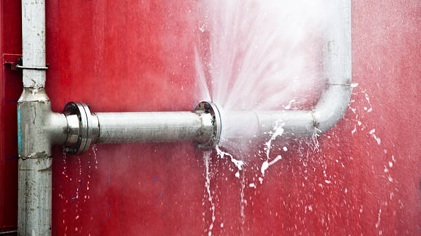 Best Water damage cleanup near me  in Lodi, WI